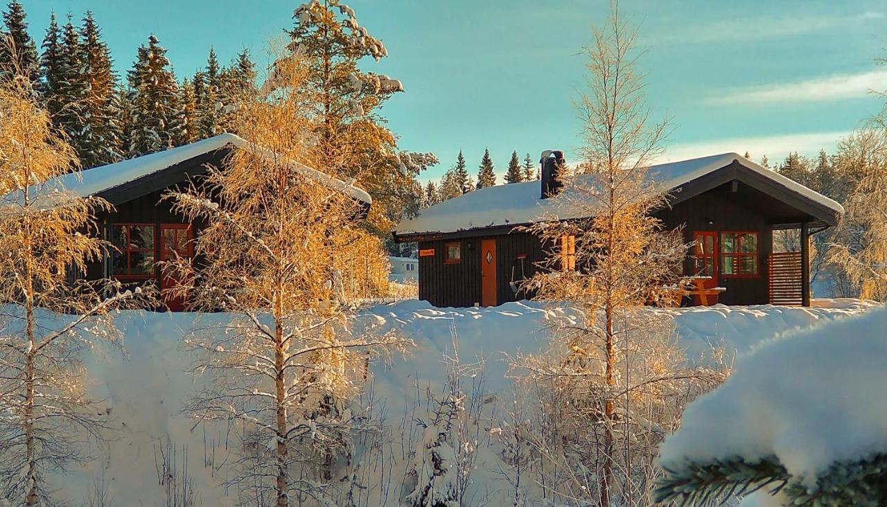 Trysil Hyttegrend Exterior foto